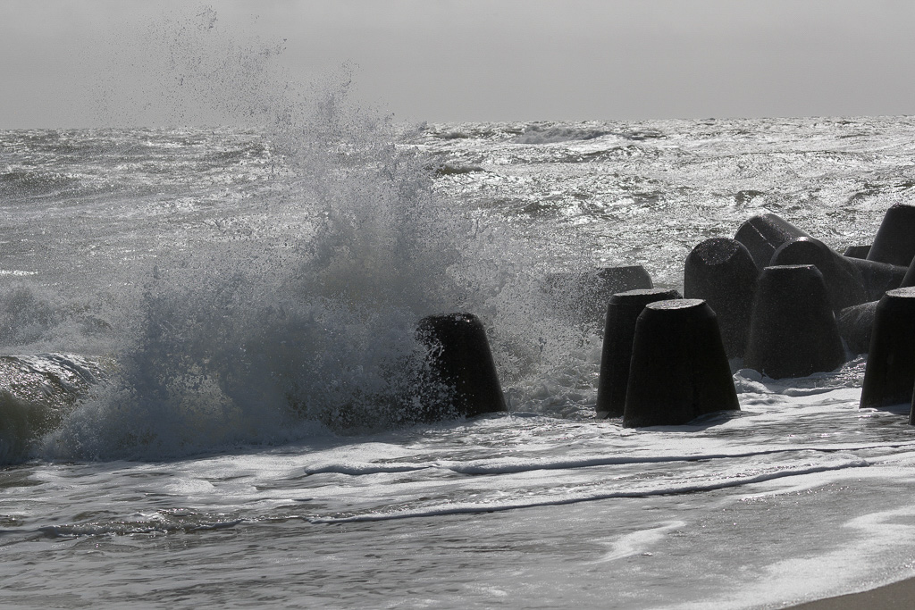 Canon EOS-1D X Mark II EF100-400mm f/4.5-5.6L IS II USM @ 100 mm - 1/1600 Sek. bei f / 8.0 - ISO 100