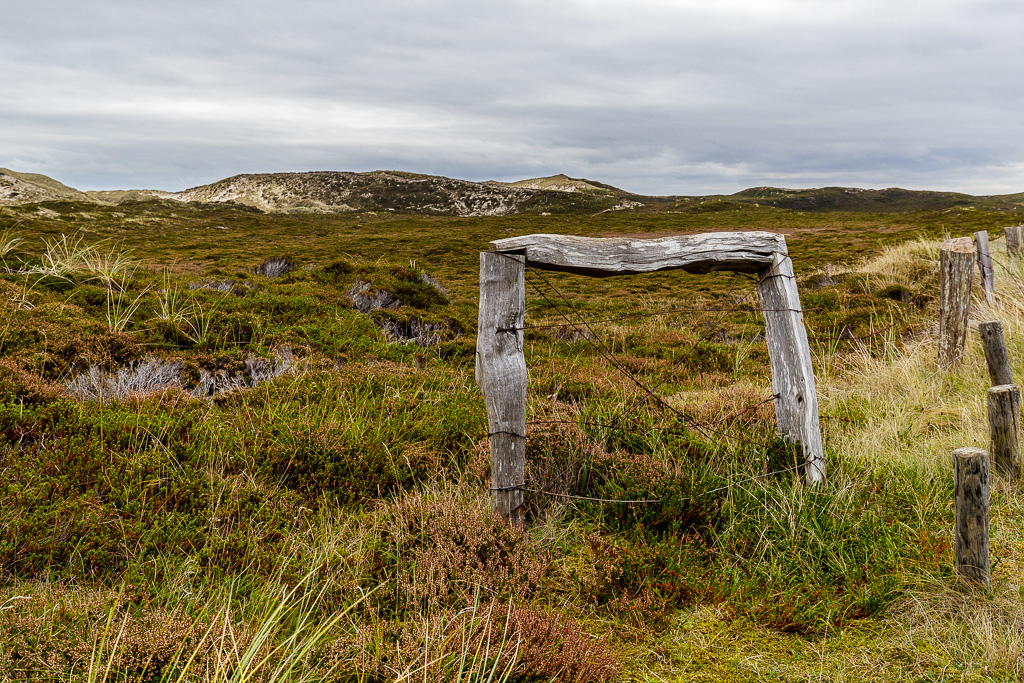 Canon EOS-1D X Mark II EF16-35mm f/4L IS USM @ 35 mm - 1/320 Sek. bei f / 8.0 - ISO 400
