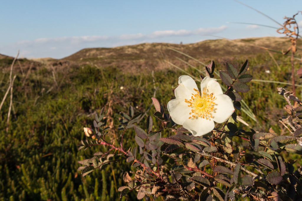 Canon EOS 70D EF8-15mm f/4L FISHEYE USM @ 15 mm - 1/250 Sek. bei f / 16 - ISO 400