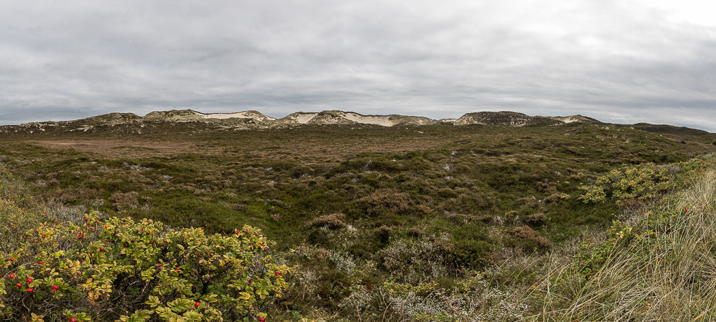 Canon EOS-1D X Mark II EF8-15mm f/4L FISHEYE USM @ 15 mm - 1/320 Sek. bei f / 8.0 - ISO 250