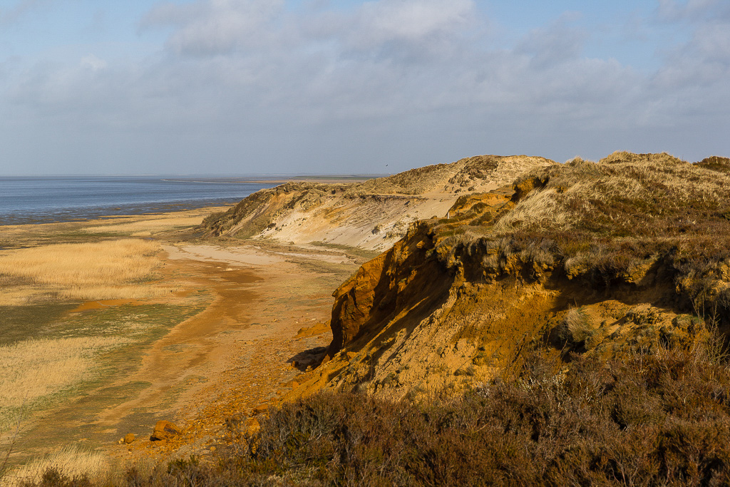 Canon EOS-1D X Mark II EF24-70mm f/2.8L II USM @ 67 mm - 1/250 Sek. bei f / 8.0 - ISO 100