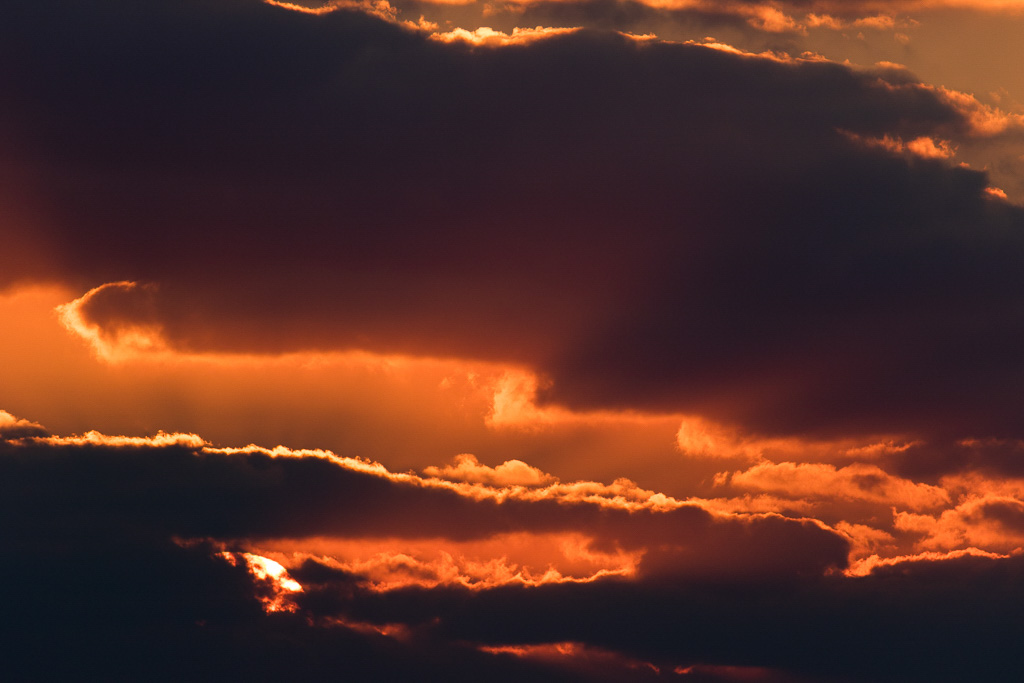 Canon EOS 7D Mark II EF100-400mm f/4.5-5.6L IS II USM @ 400 mm - 1/400 Sek. bei f / 5.6 - ISO 200