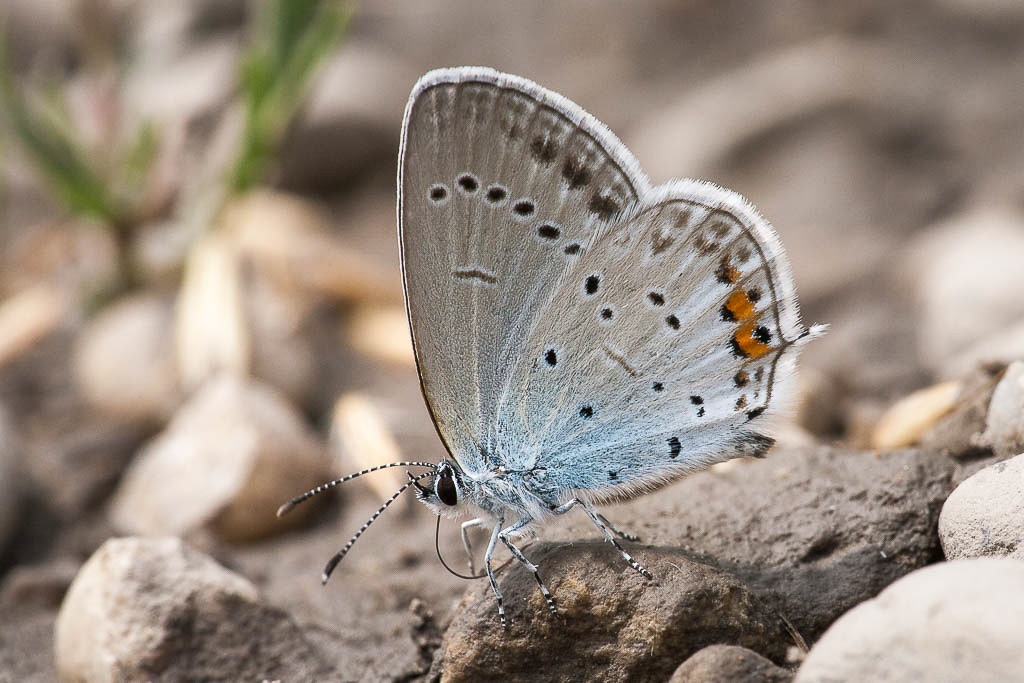 Canon EOS 5D - 150.0 mm - 1/400 Sek. bei f / 13 - ISO 400