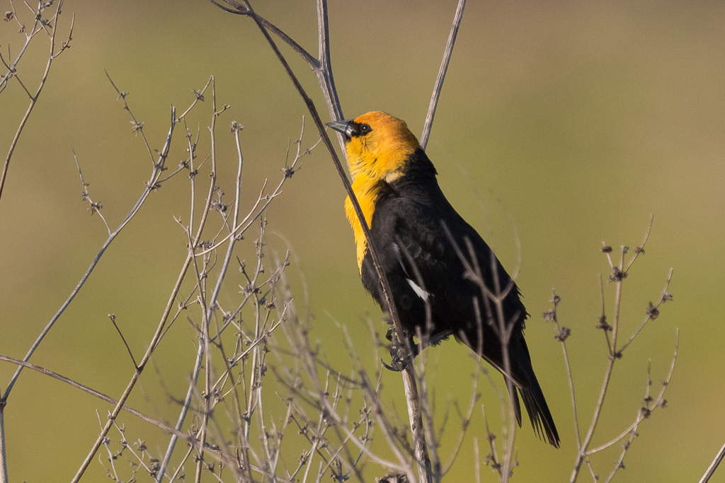 1/1600 Sek. bei f / 8.0